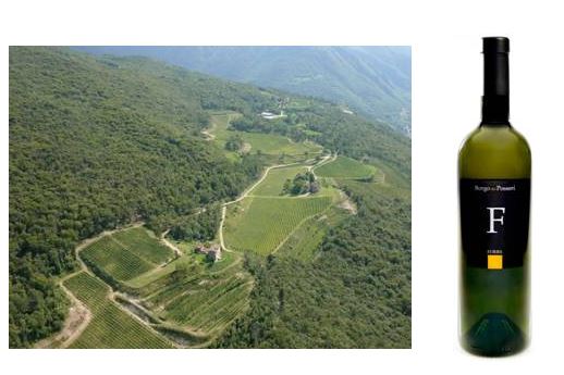 Sauvignon Furiel: fiore all’occhiello del Borgo dei Posseri - Le Shopping News Il Magazine per gli Appassionati di Moda e Tendenze