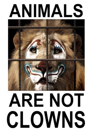 Le t-shirt di Elisabetta Franchi e la LAV contro lo sfruttamento degli animali nei circhi - Le Shopping News Il Magazine per gli Appassionati di Moda e Tendenze