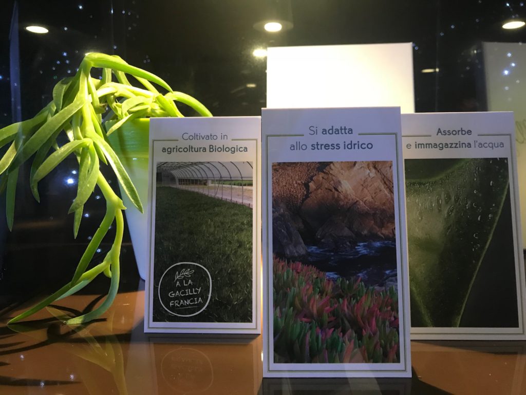 Nuova linea Hydra Végétal di Yves  Rocher, quando la natura dà una mano alla nostra pelle - Le Shopping News Il Magazine per gli Appassionati di Moda e Tendenze