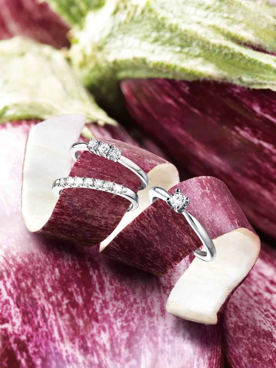 Collezione Fresh di Recarlo :una passione da coltivare ogni giorno