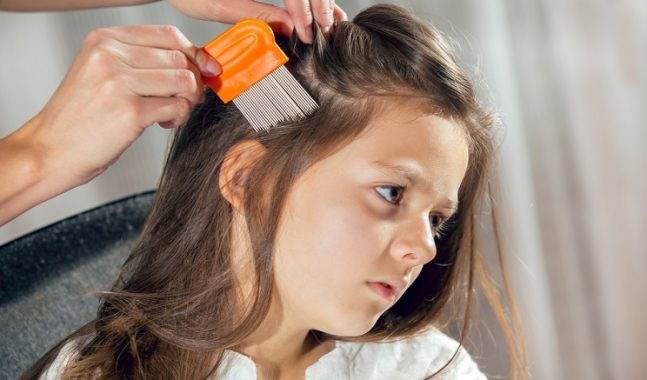 BIOSCALIN® PIDOK.O® : azione mirata e senza insetticida contro i pidocchi!