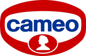Cameo Miscela 9 torte al cioccolato: metti in campo la tua creatività in cucina!