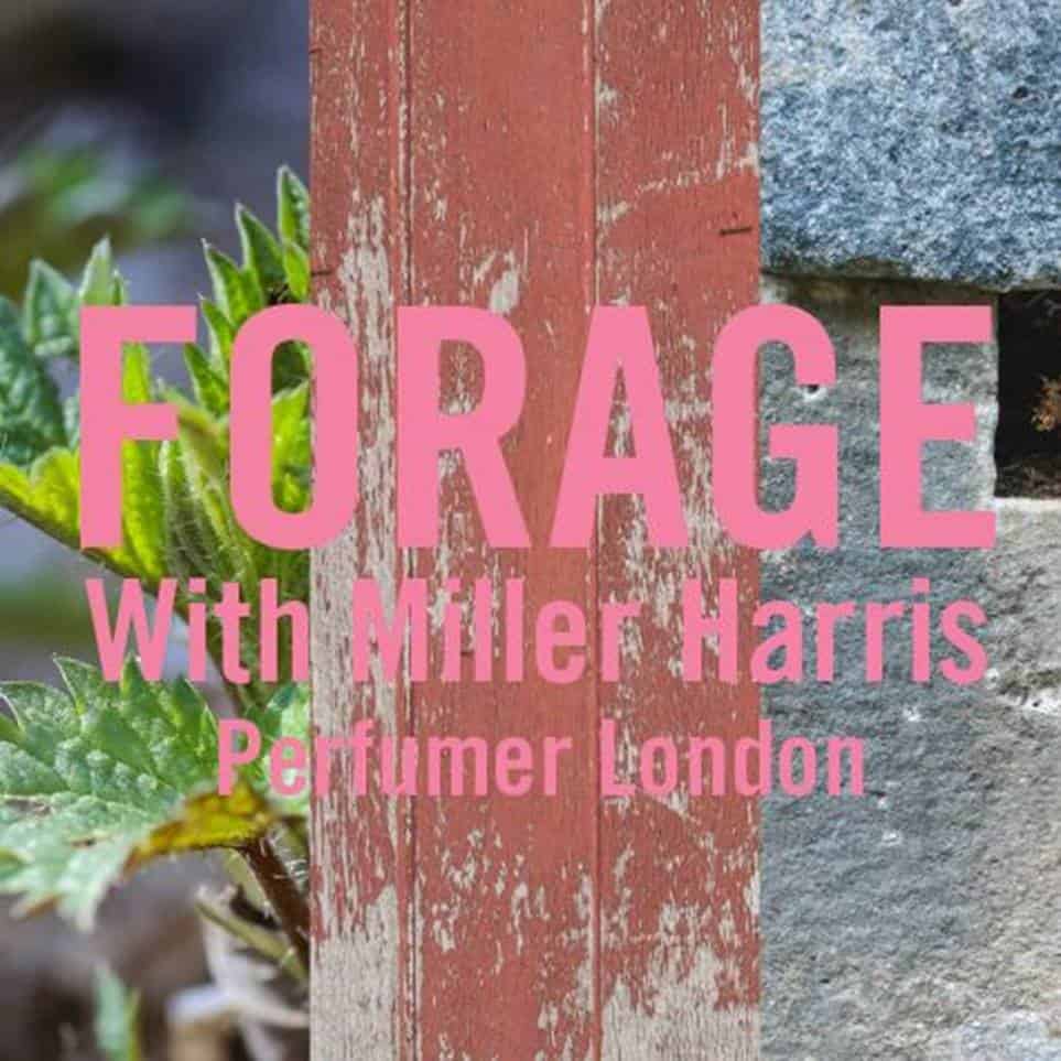 Tre nuove fragranze Miller Harris ispirate al foraging