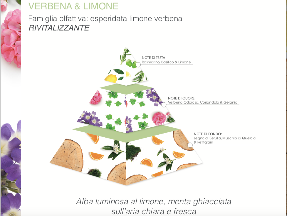 Schermata-2018-09-14-alle-10.05.05 Ingredienti naturali nella linea corpo ARIA, distribuita in esclusiva da Ethos Profumerie!