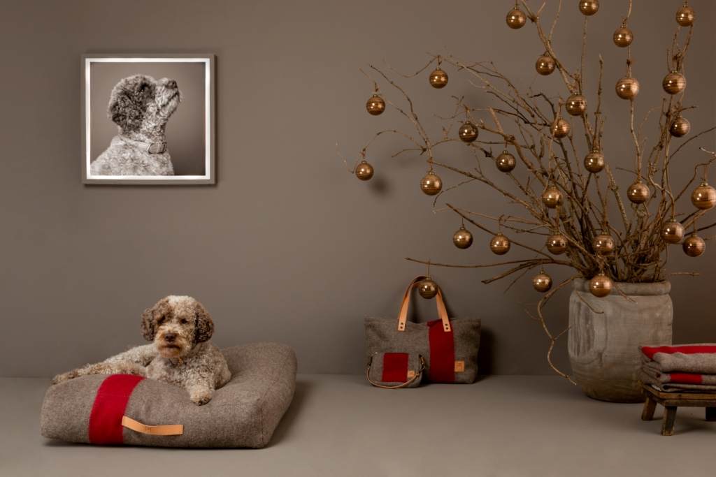 Natale 2020, i regali più belli per la casa - Le Shopping News Il Magazine per gli Appassionati di Moda e Tendenze