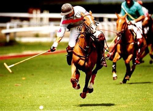 103-0-Polo US Grand Polo, calzature dall'anima green