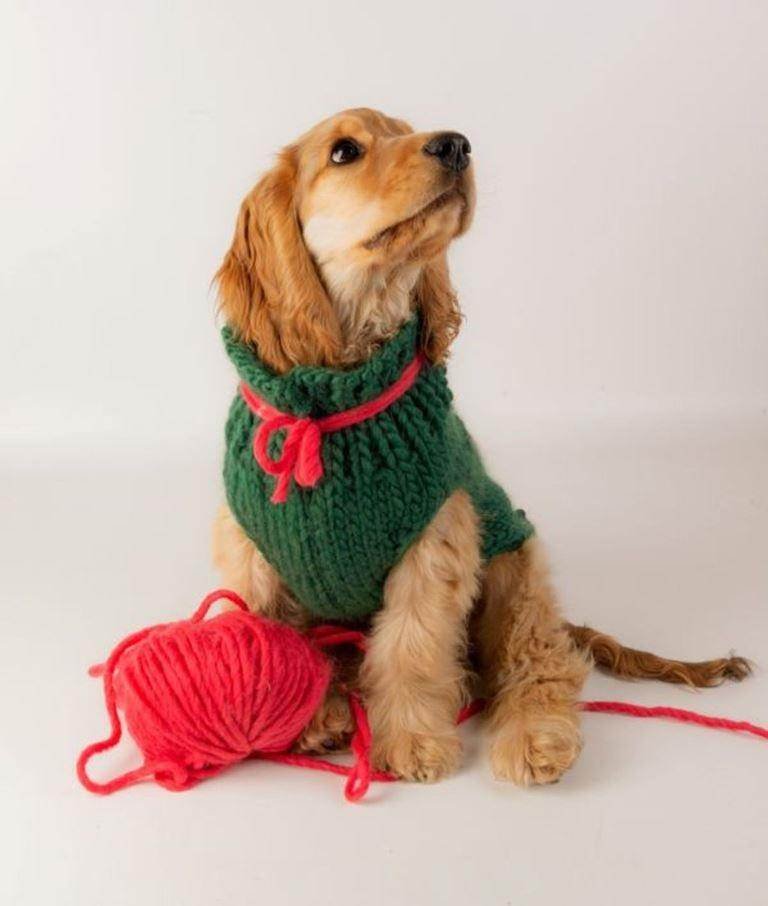 bettaknit-BRUNO-DOG-COAT_5 Regali di Natale abbigliamento: le novità top per il 2021
