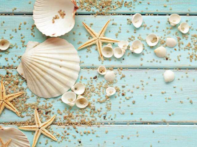 Decorazioni casalinghe - Le Shopping News Il Magazine per gli Appassionati di Moda e Tendenze
