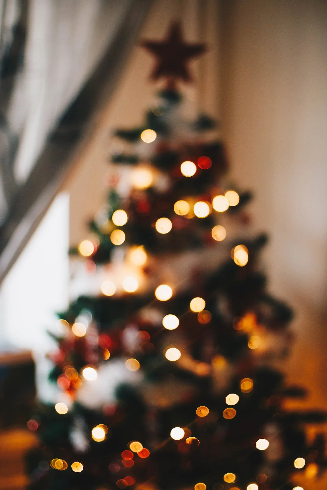 Idee regalo: rendi felice chi ami a Natale!