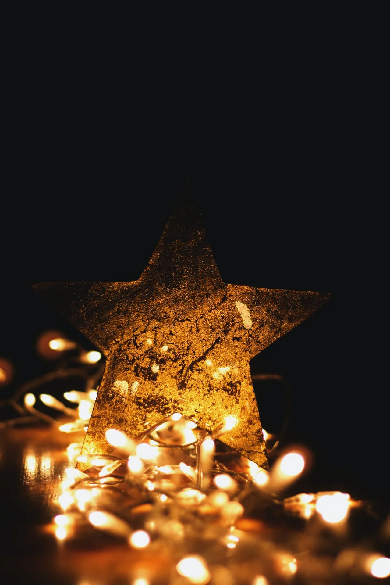 Natale 2023: 5 proposte di profumi di lusso