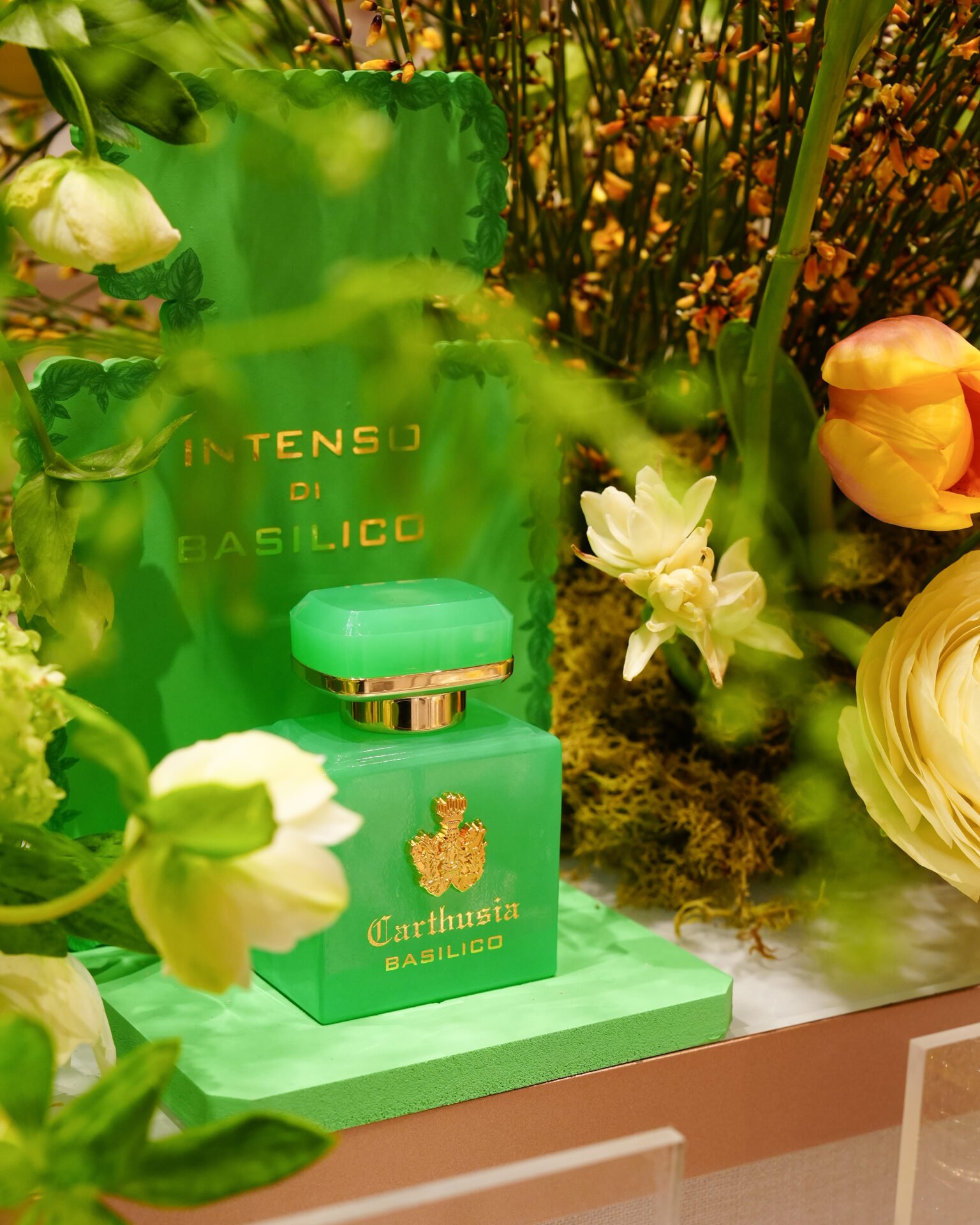 SNY07754 Carthusia presenta Intenso: una nuova collezione di fragranze mediterranee senza tempo