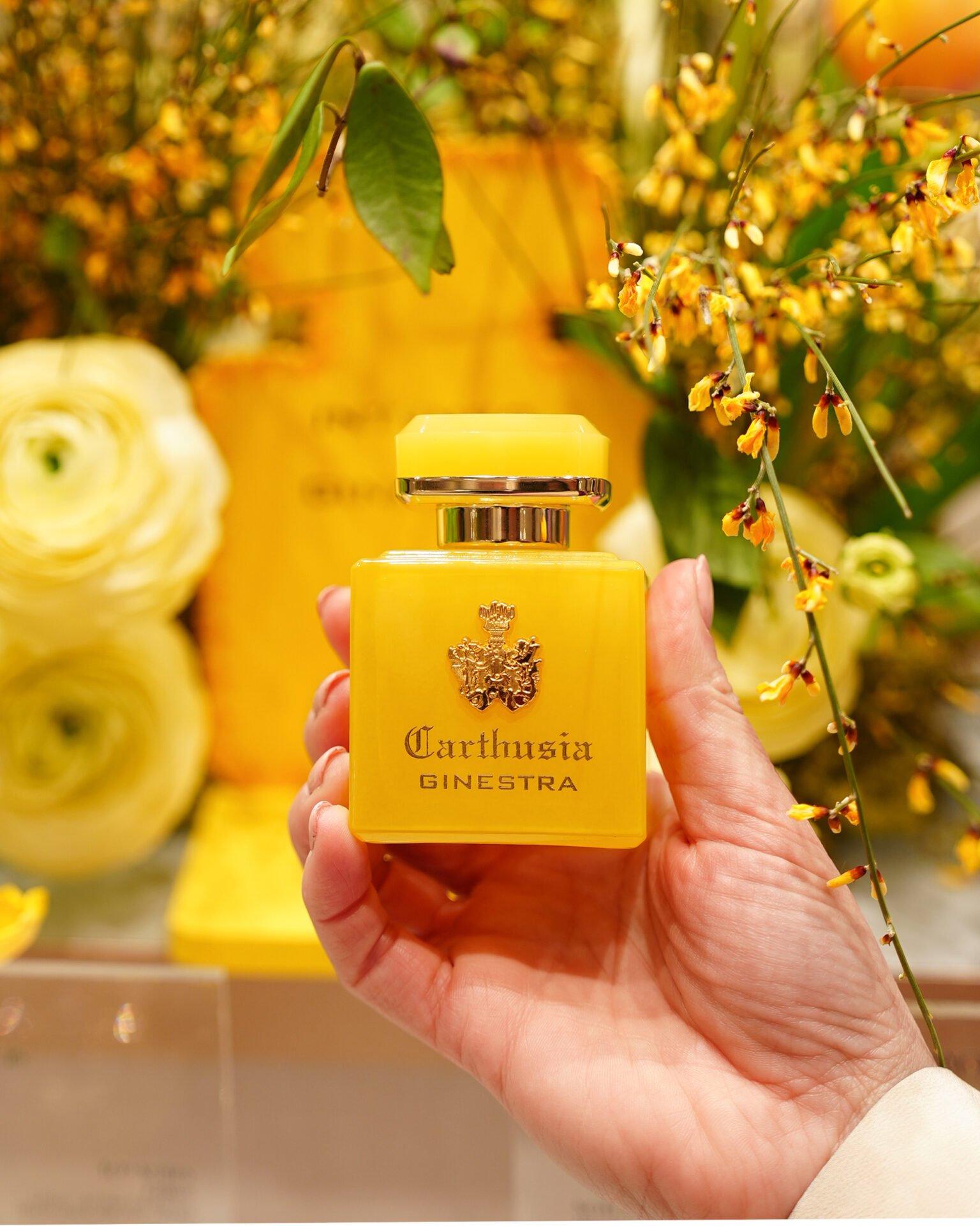 SNY07765 Carthusia presenta Intenso: una nuova collezione di fragranze mediterranee senza tempo