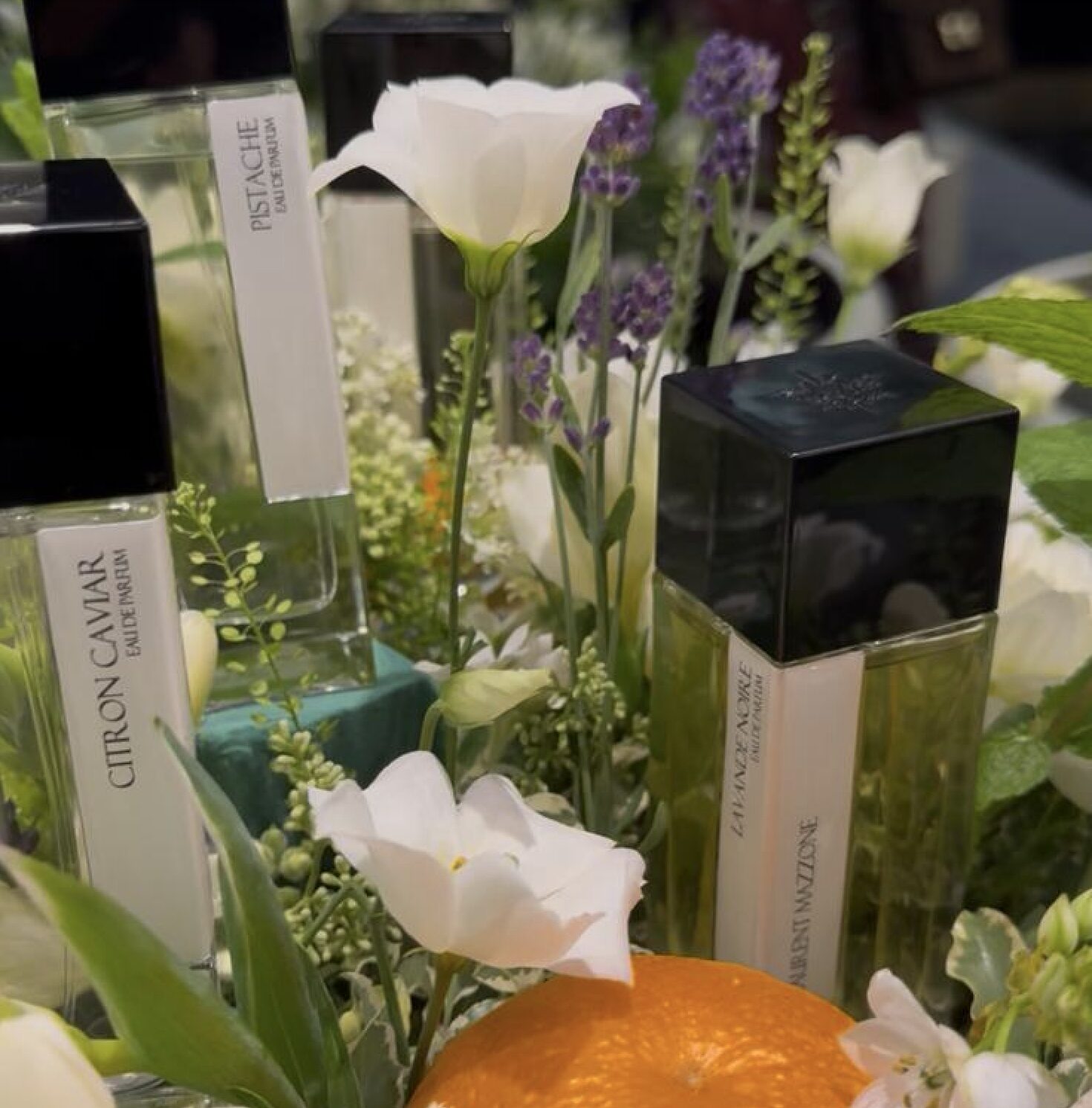 Pistache, il profumo al pistacchio che accarezza l’anima - Le Shopping News Il Magazine per gli Appassionati di Moda e Tendenze