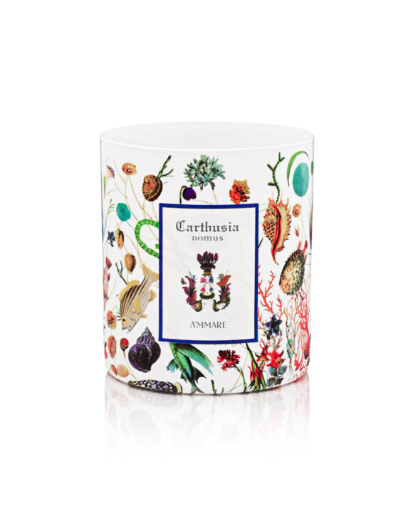 ccd.001-580x725 Candele profumate: coccola d’inverno