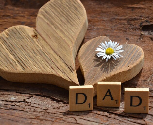 innviertlerin-fathers-day-5177320_1280-630x517 Home