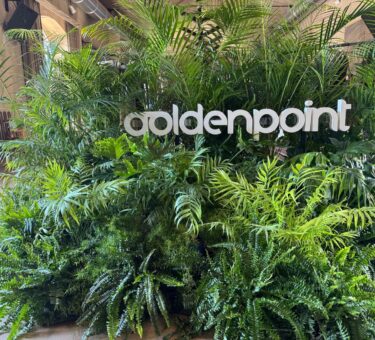 Beachwear Goldenpoint PE 2026: costumi donna tendenze estate tra stile italiano e vestibilità perfetta