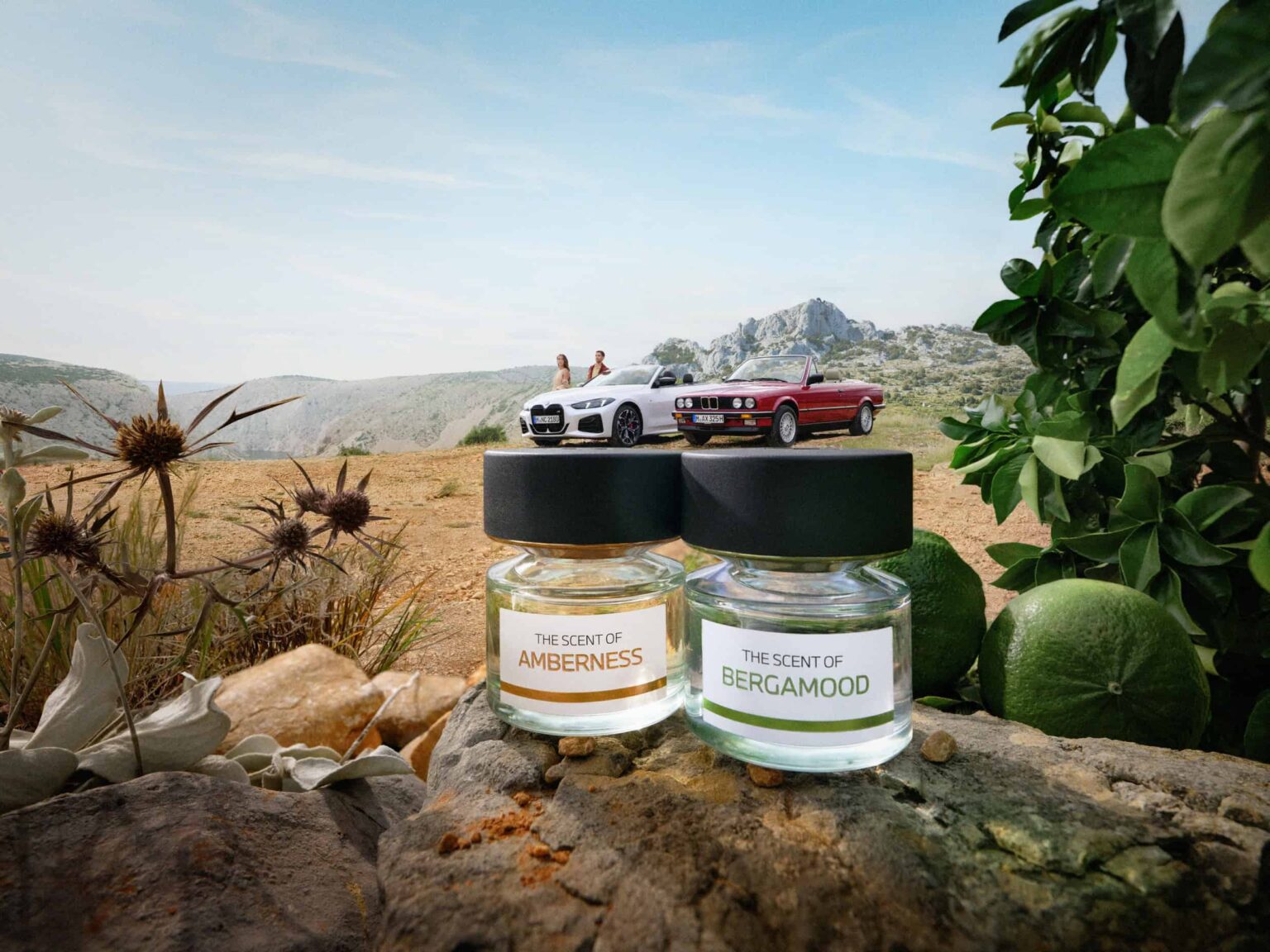 BMW-profumi-Woodness-e-MineralMood-due-nuove-fragranze-genderless-tra-natura-emozioni-e-liberta-1536x1152 Home