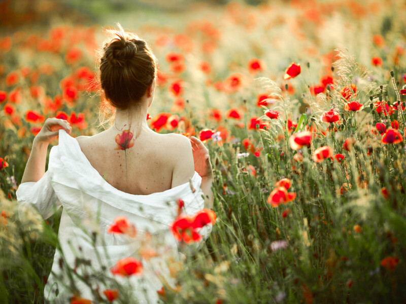 girl-is-taking-off-shirt-from-her-back-with-tattoo-flower-poppy-it-poppies-field-7nuu4rt08hunfhpx8gmgkgbn1b296wv92psmrvima4a Home